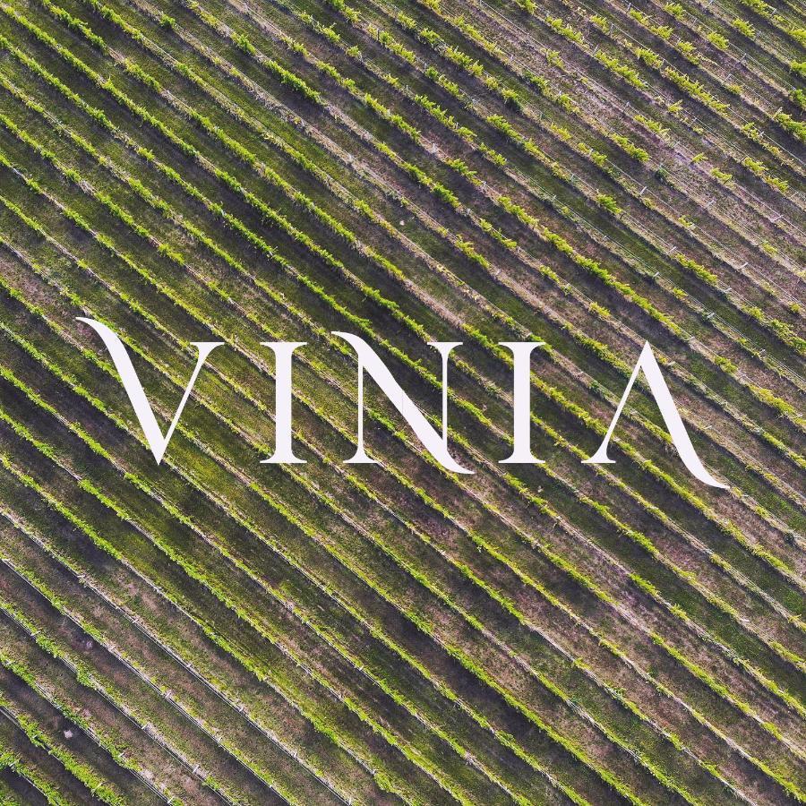 사사리 La Vinia Bed&Wine Experience - Adults Only 빌라 외부 사진